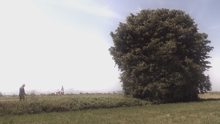 IZO-NEZNANA POGLAVJA-20251015-000-IVAN HRIBAR-LP-SLO-HD-A1A2-Z1K1G1S1-F1.frame-26222 (002)